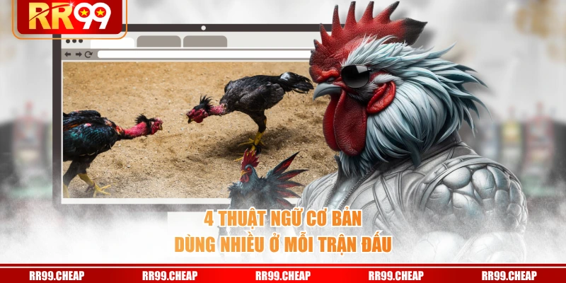 4 thuật ngữ cơ bản dùng nhiều ở mỗi trận đấu