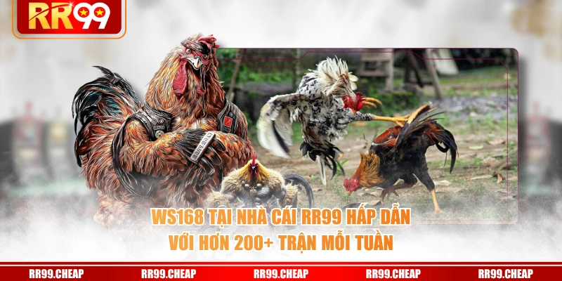 WS168 tại nhà cái RR99 hấp dẫn với hơn 200+ trận mỗi tuần